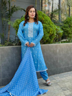 Light Blue Yoke Design & Allover Floral Embroidered - SaimaFashion